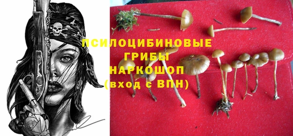 твердый Баксан